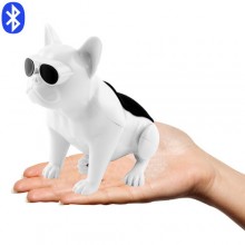 Портативная Bluetooth колонка WIRELESS DOG S5 c функцией speakerphone (3606BS)